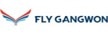 Fly Gangwon ロゴ