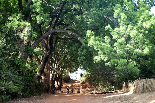 Guiné-Bissau