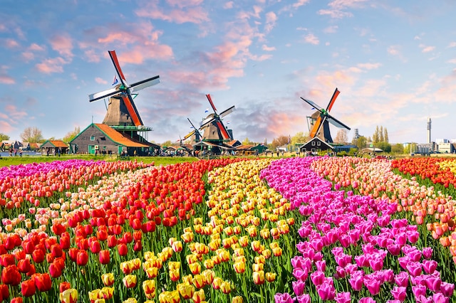 Holanda