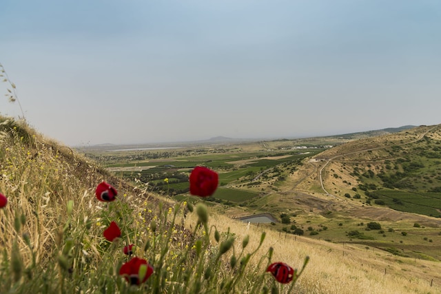 República Árabe Da Síria