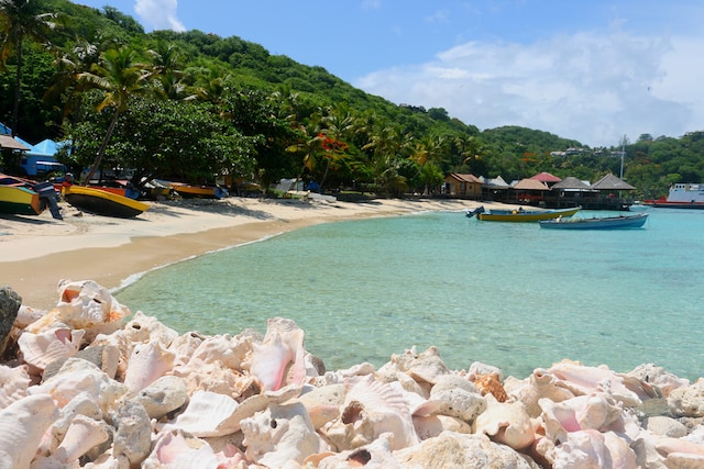 São Vicente e Granadinas